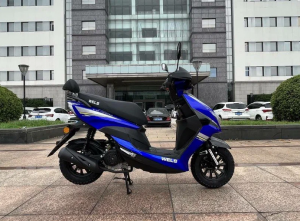 Мотоцикл (Скутер) WELS SPORT FS (T6-50D) Синий